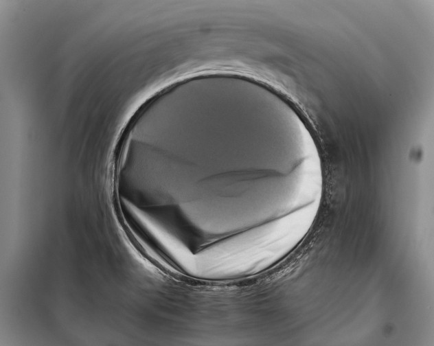 X0000098191519200805151152