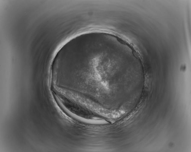X0000098191520200805151152