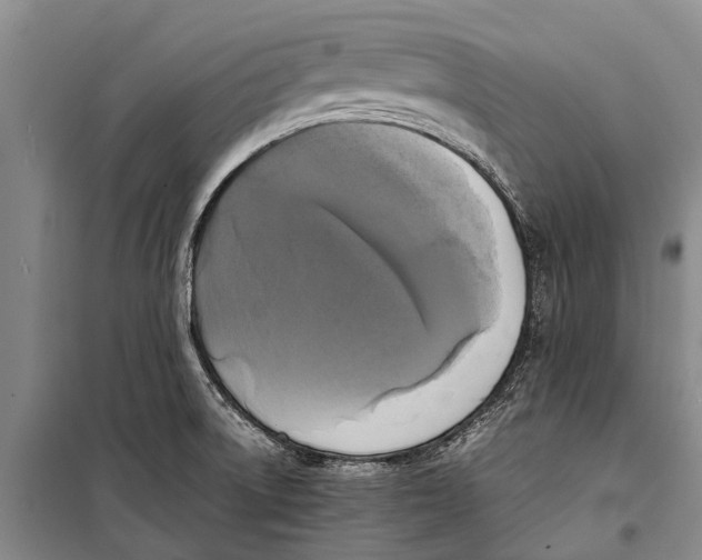 X0000098191522200805151152