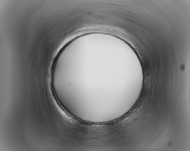 X0000098191523200805151152