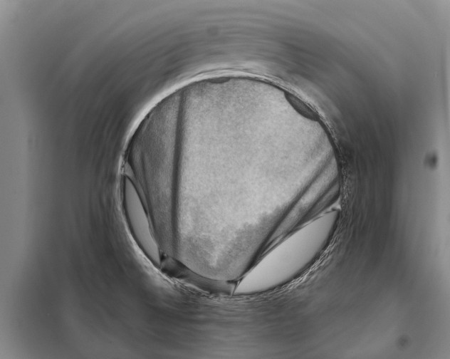 X0000098191524200805151152