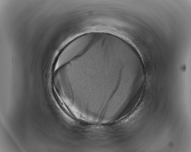 X0000098191525200805151152