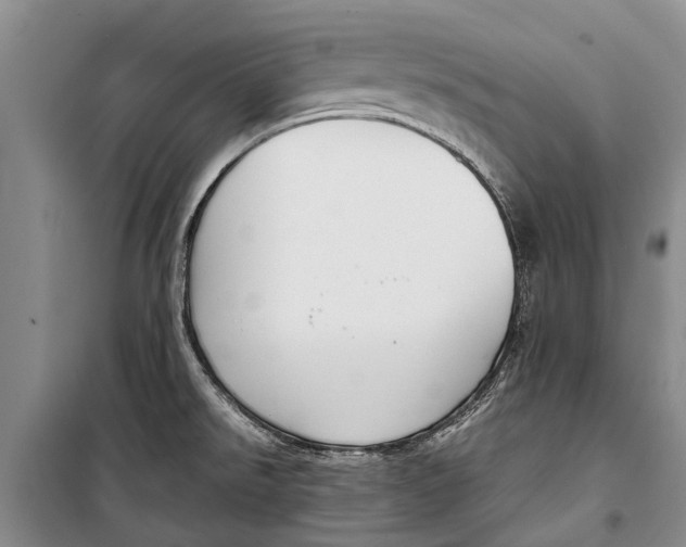 X0000098191526200805151152