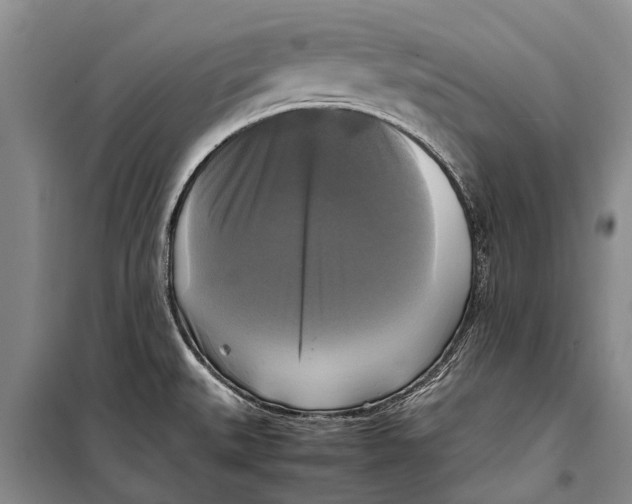 X0000098191527200805151152