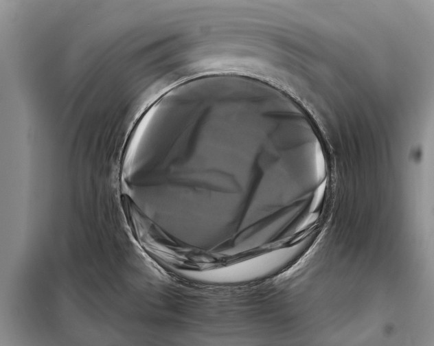 X0000098191529200805151152