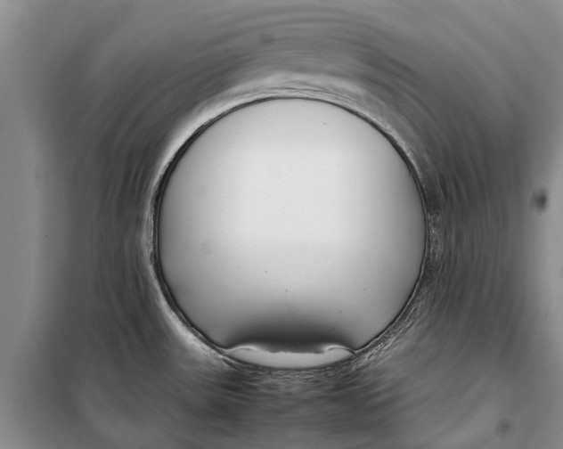 X0000098191531200805151152