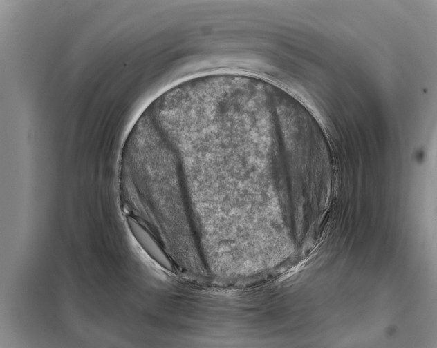 X0000098191532200805151152