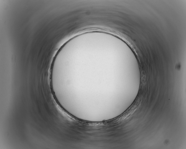 X0000098191535200805151152