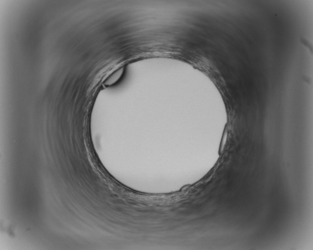 X0000098190001200805221529