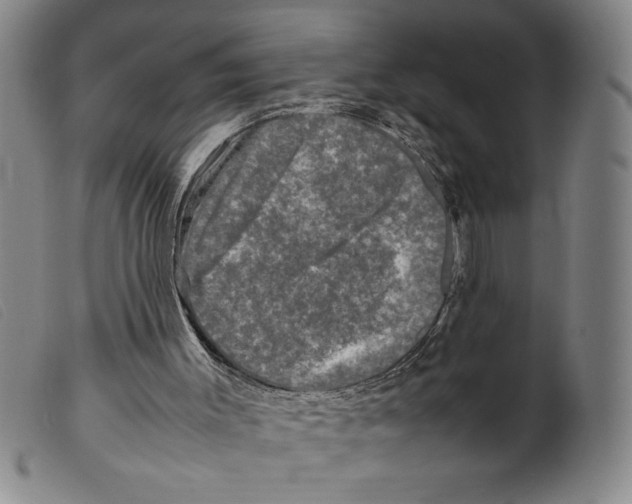 X0000098190003200805221529