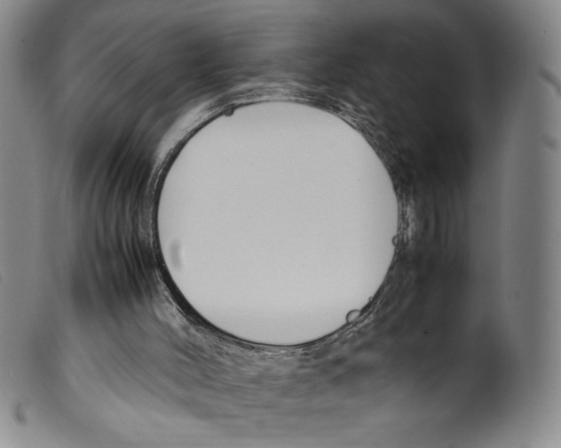 X0000098190004200805221529