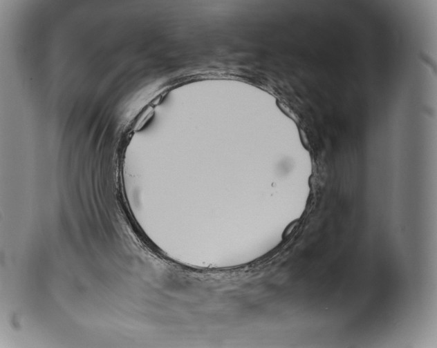 X0000098190005200805221529