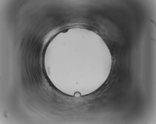 X0000098190006200805221529