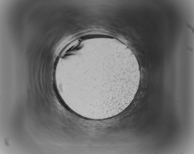 X0000098190007200805221529