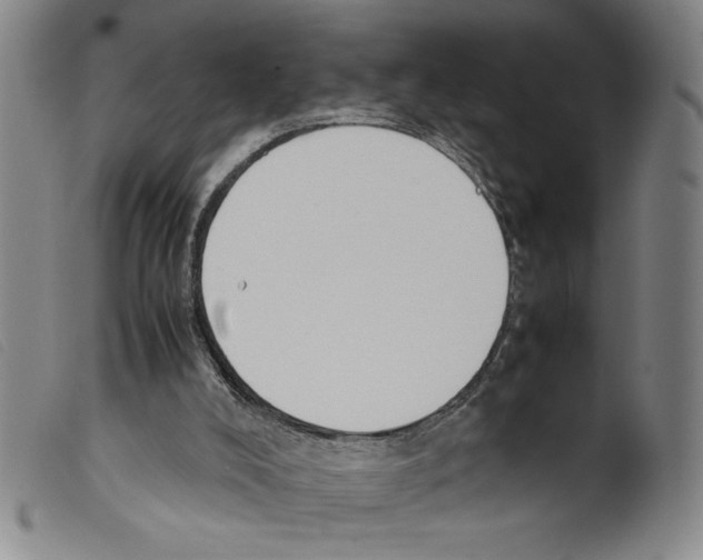 X0000098190008200805221529