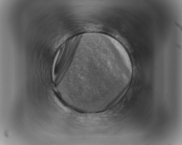 X0000098190009200805221529