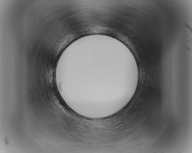 X0000098190010200805221529