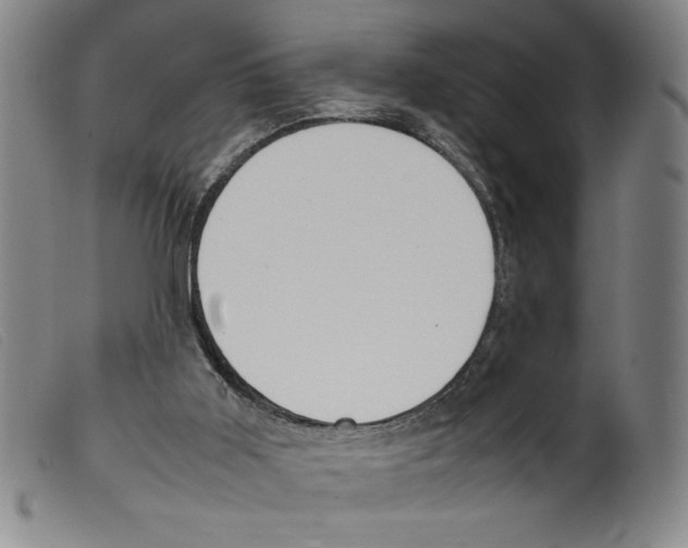 X0000098190011200805221529