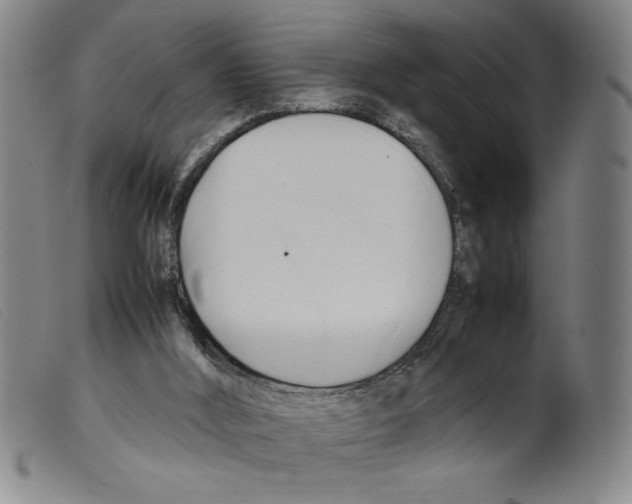 X0000098190012200805221529