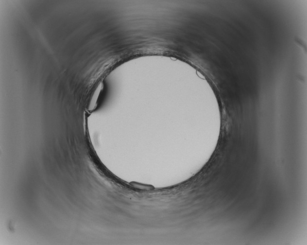 X0000098190013200805221528