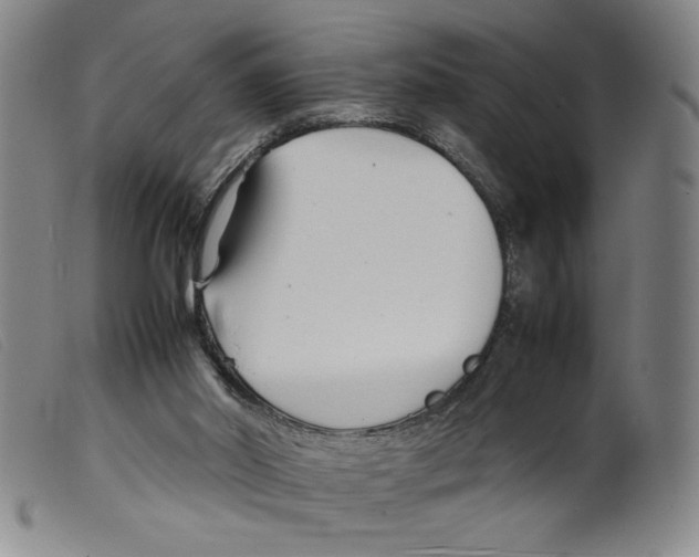 X0000098190014200805221528