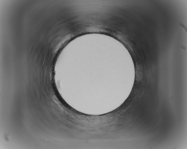 X0000098190015200805221528