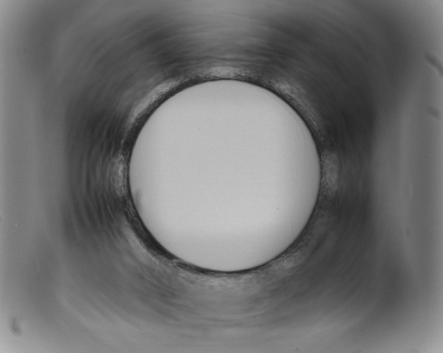 X0000098190016200805221528