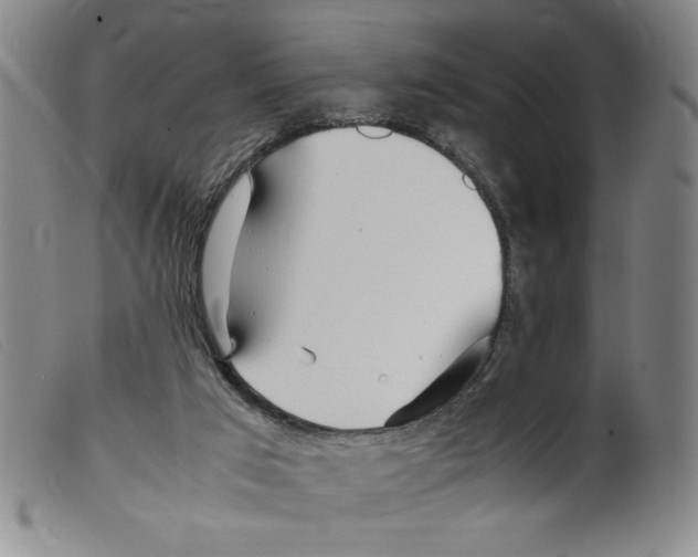 X0000098190017200805221528