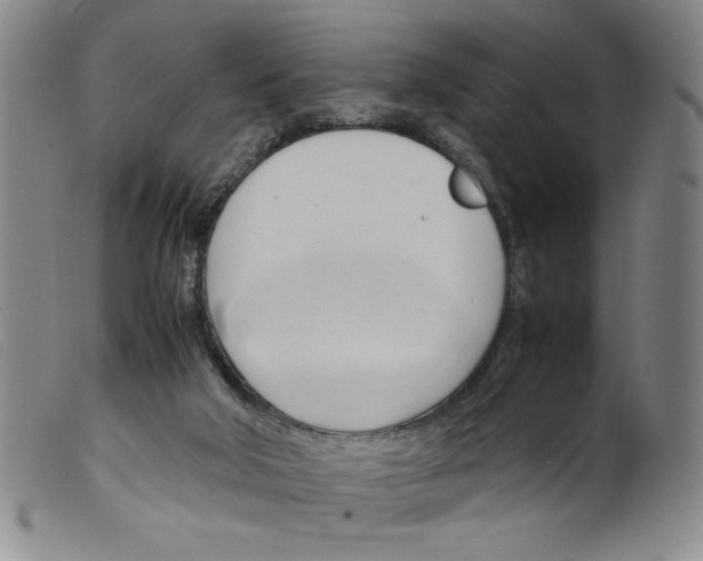 X0000098190018200805221528