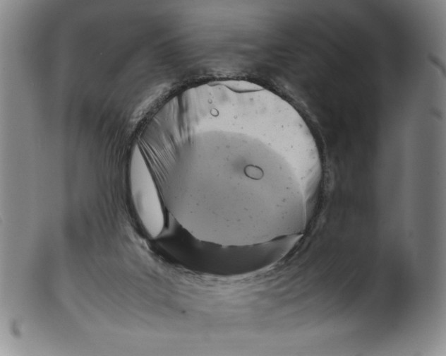 X0000098190019200805221528