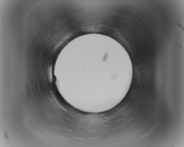 X0000098190020200805221528