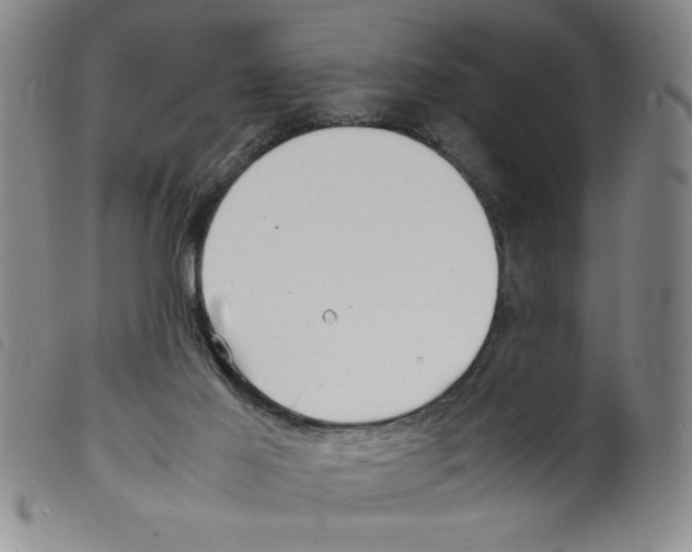 X0000098190021200805221528