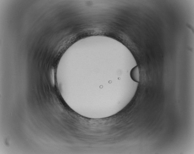 X0000098190022200805221528