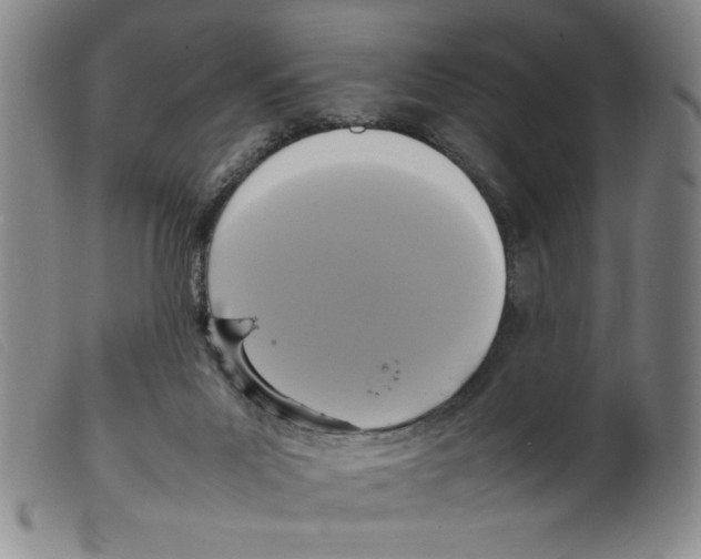 X0000098190023200805221528
