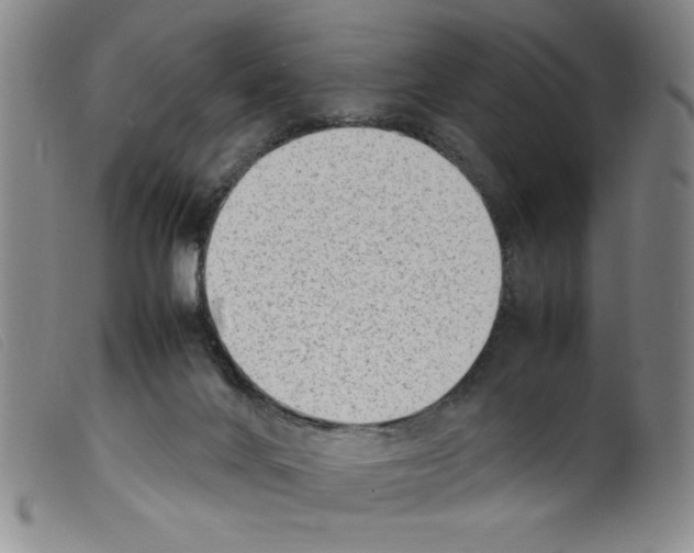 X0000098190024200805221528