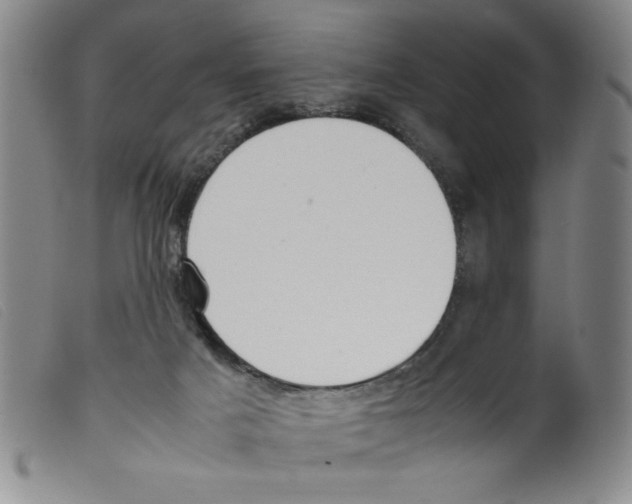 X0000098190025200805221528
