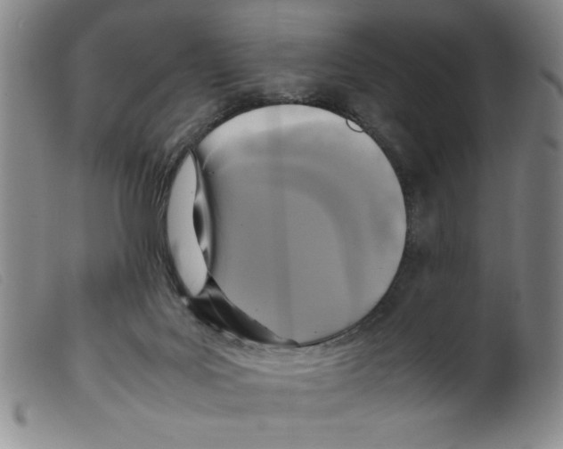 X0000098190027200805221528