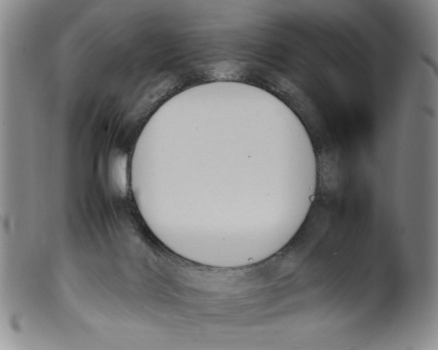 X0000098190028200805221528