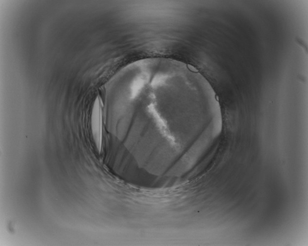 X0000098190029200805221528