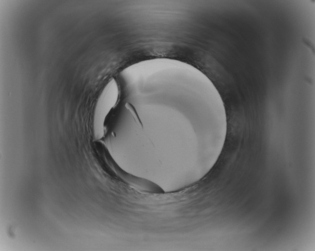 X0000098190031200805221528