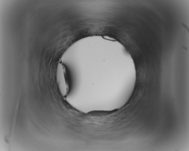 X0000098190033200805221528