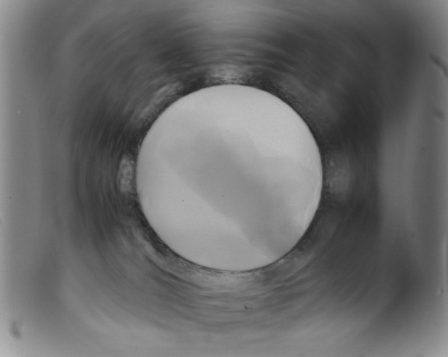 X0000098190036200805221528
