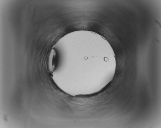 X0000098190037200805221528