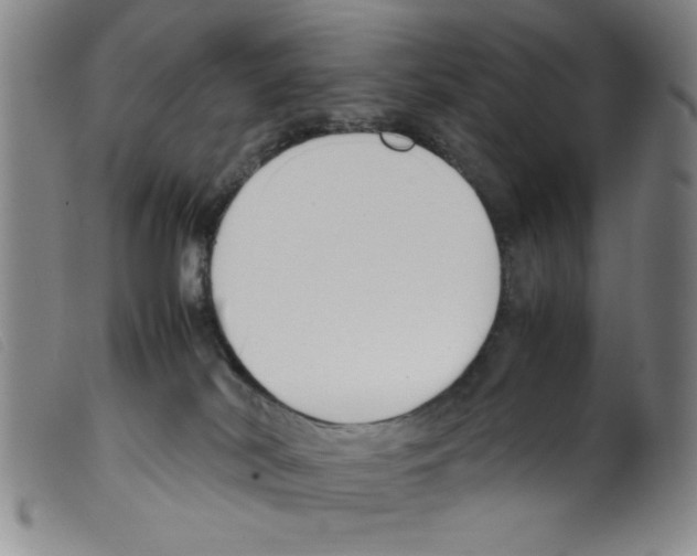 X0000098190038200805221528