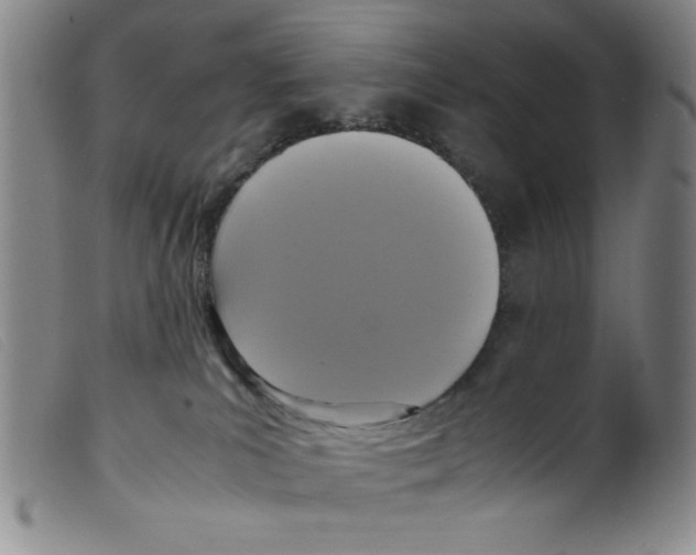 X0000098190039200805221528