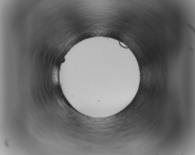 X0000098190042200805221528