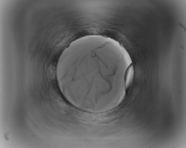 X0000098190043200805221528