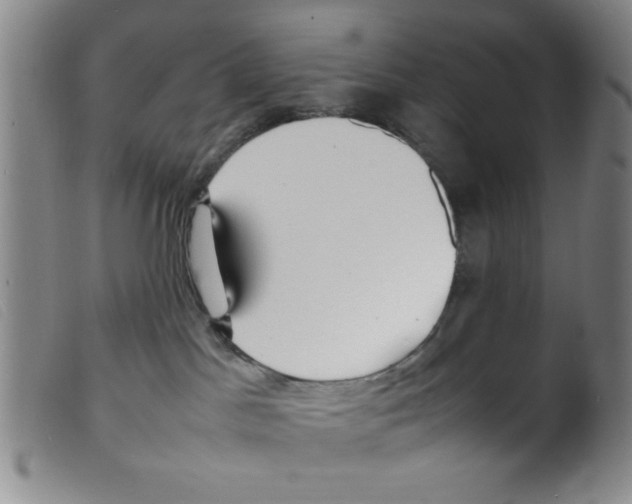 X0000098190045200805221528