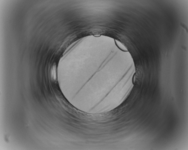 X0000098190046200805221528