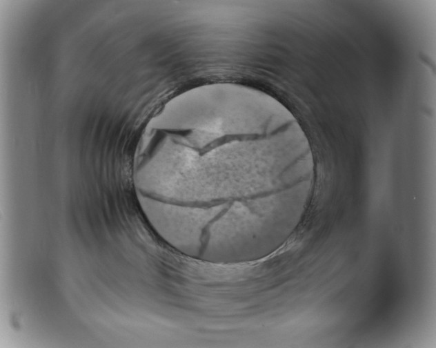 X0000098190048200805221528
